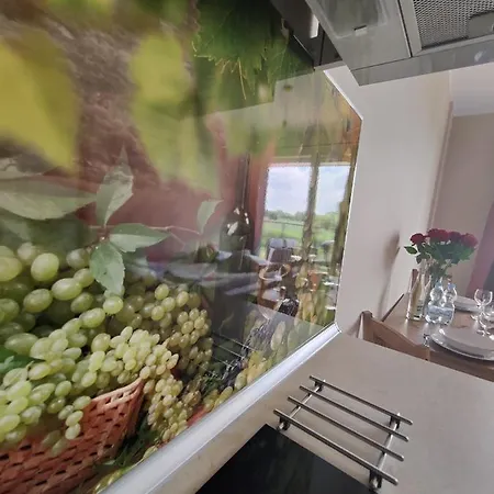 M&k Ptasie Opowiesci, - Wyspa Sobieszewska * Gdansk