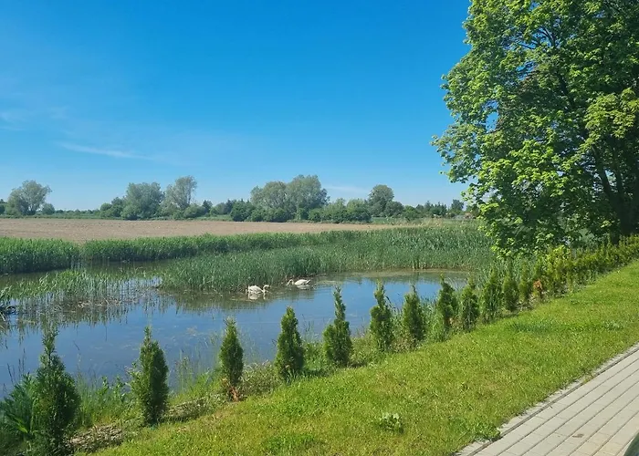 M&k Ptasie Opowiesci, - Wyspa Sobieszewska * Гданьск